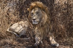 TanzanieUganda_0089_web