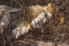TanzanieUganda_0090_web