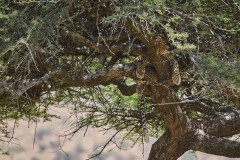 TanzanieUganda_0091_web