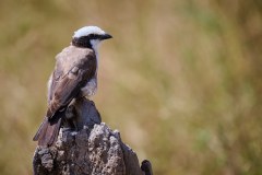 TanzanieUganda_0092_web