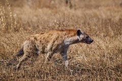 TanzanieUganda_0094_web