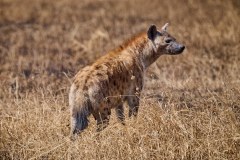 TanzanieUganda_0095_web