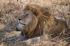 TanzanieUganda_0096_web
