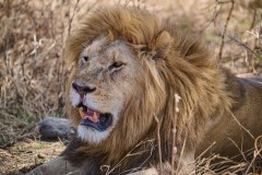 TanzanieUganda_0097_web