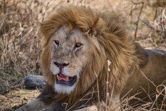TanzanieUganda_0098_web