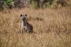 TanzanieUganda_0099_web