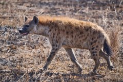TanzanieUganda_0100_web