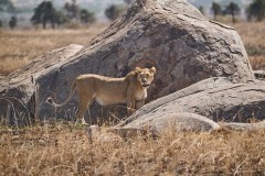 TanzanieUganda_0101_web