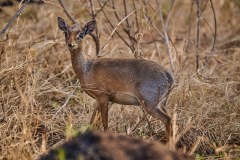 TanzanieUganda_0102_web