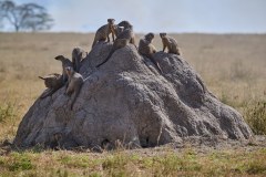 TanzanieUganda_0104_web