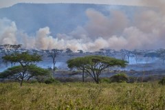 TanzanieUganda_0105_web