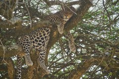 TanzanieUganda_0107_web