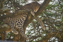 TanzanieUganda_0108_web