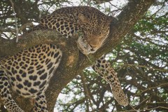 TanzanieUganda_0109_web