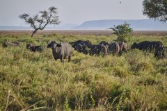 TanzanieUganda_0110_web