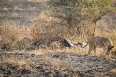 TanzanieUganda_0111_web