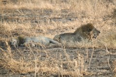 TanzanieUganda_0112_web