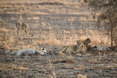 TanzanieUganda_0113_web