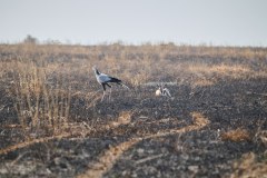 TanzanieUganda_0115_web