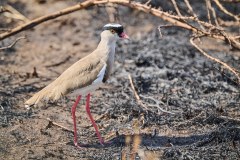 TanzanieUganda_0116_web