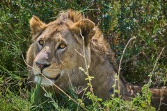 TanzanieUganda_0118_web