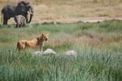 TanzanieUganda_0119_web