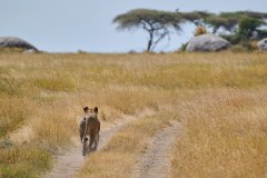 TanzanieUganda_0120_web