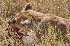 TanzanieUganda_0121_web