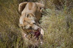 TanzanieUganda_0122_web