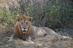 TanzanieUganda_0124_web