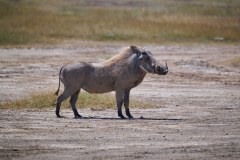 TanzanieUganda_0125_web