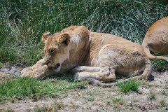 TanzanieUganda_0126_web
