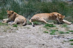 TanzanieUganda_0127_web
