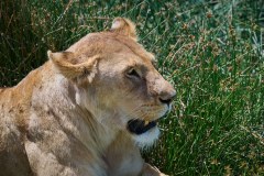 TanzanieUganda_0128_web