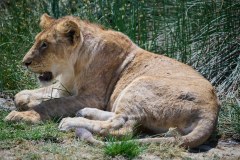 TanzanieUganda_0129_web