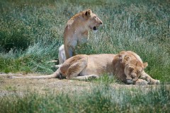 TanzanieUganda_0130_web