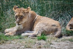 TanzanieUganda_0131_web