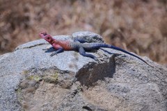 TanzanieUganda_0132_web