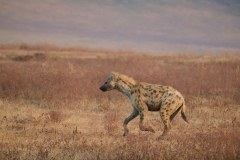 TanzanieUganda_0148_web