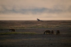 TanzanieUganda_0149_web