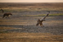 TanzanieUganda_0151_web