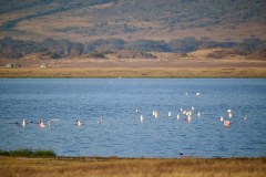 TanzanieUganda_0153_web