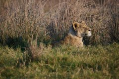 TanzanieUganda_0154_web