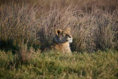 TanzanieUganda_0155_web