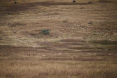 TanzanieUganda_0156_web