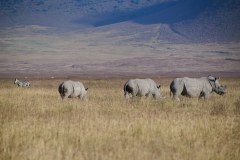 TanzanieUganda_0157_web