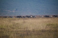 TanzanieUganda_0158_web