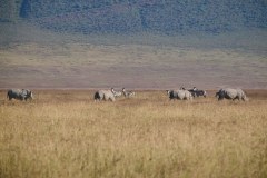 TanzanieUganda_0159_web