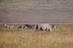 TanzanieUganda_0160_web