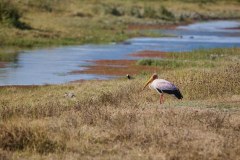 TanzanieUganda_0163_web